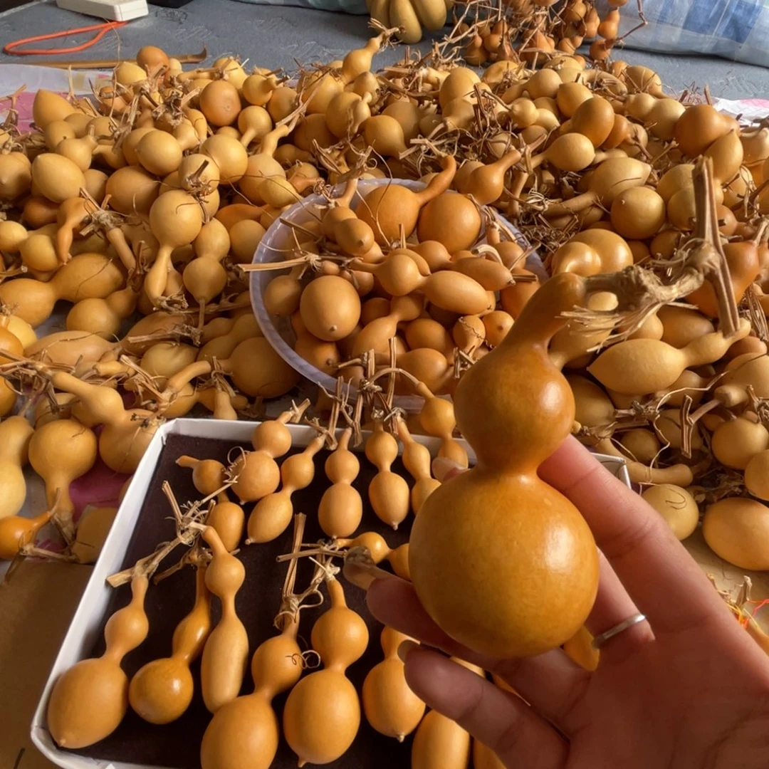 超***比过来就来咯摸摸摸摸摸