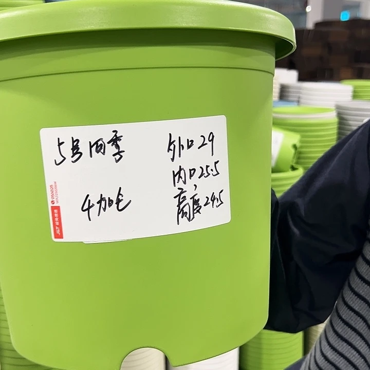 特价5号四季口29高24混色5个无托