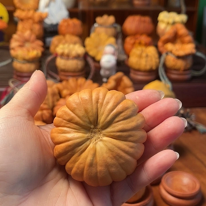 跑***者墨西哥葫芦手把瓷皮太阳花