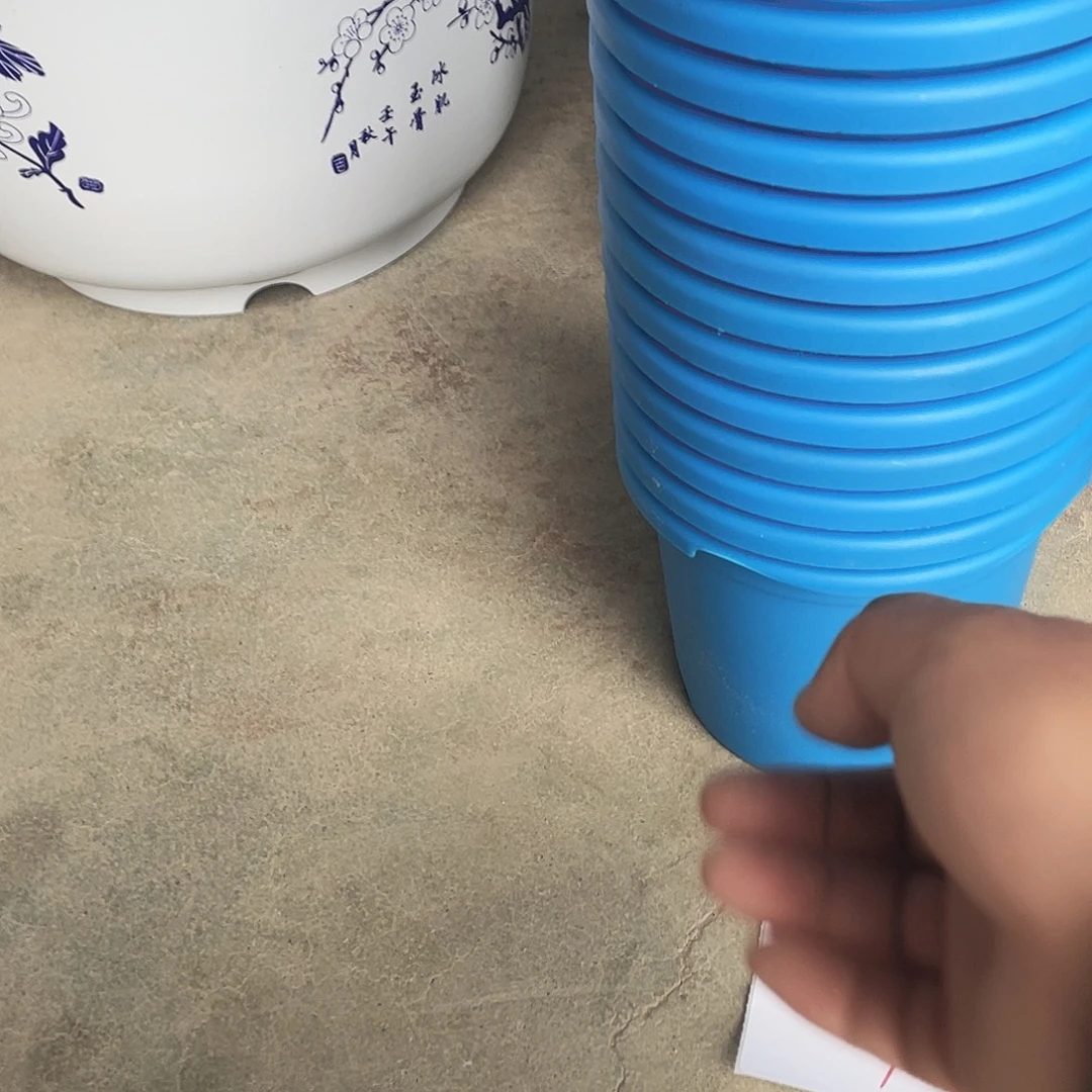 编号是93号的93号的