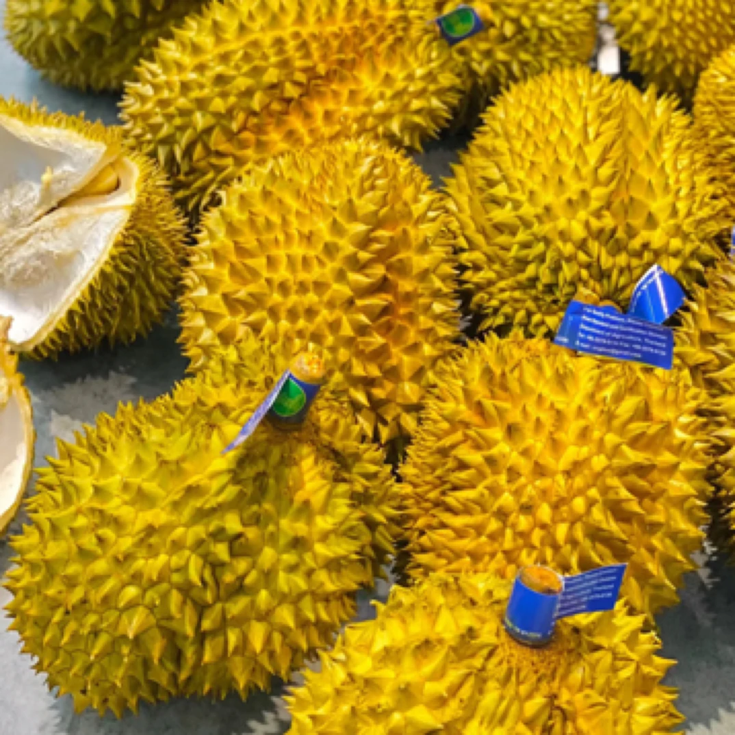 【榴莲小时达】鲜榴莲（4.23斤）金枕核小金枕泰国