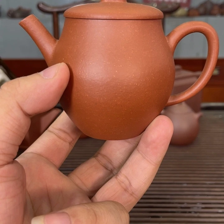 茶壶紫砂哈哈哈哈哈这个综艺节目真的是