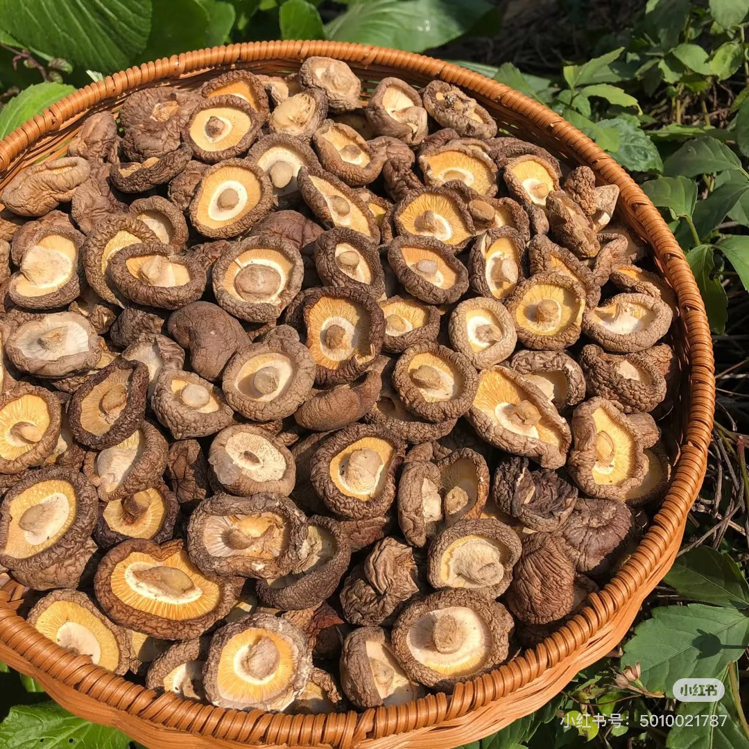 （临-时-链-接）牛-非-干-货