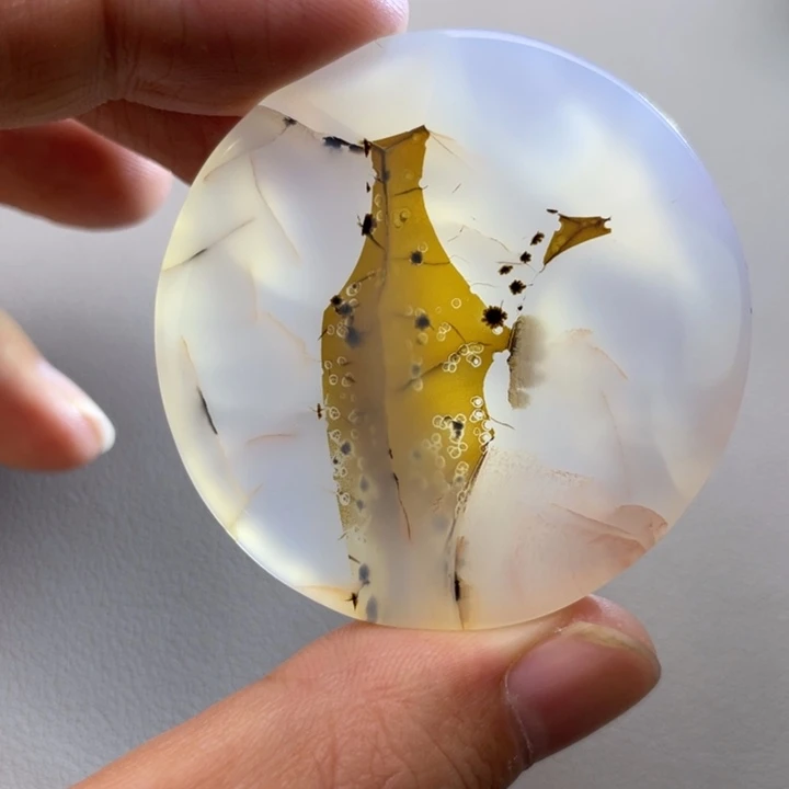 玛瑙/玉髓未镶嵌项圈金**语