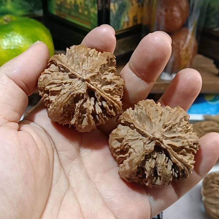 把件文玩核桃风**节66666666666666666