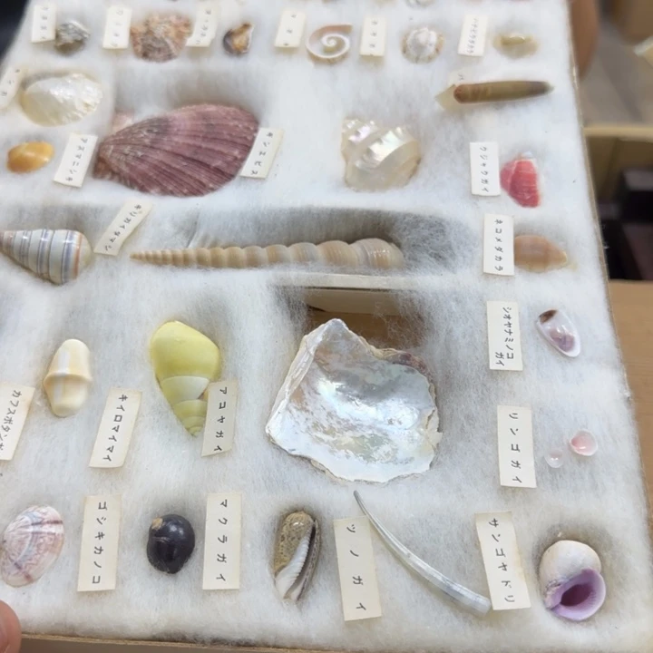 ʜ***ʏ哈哈哈哈哈哈哈