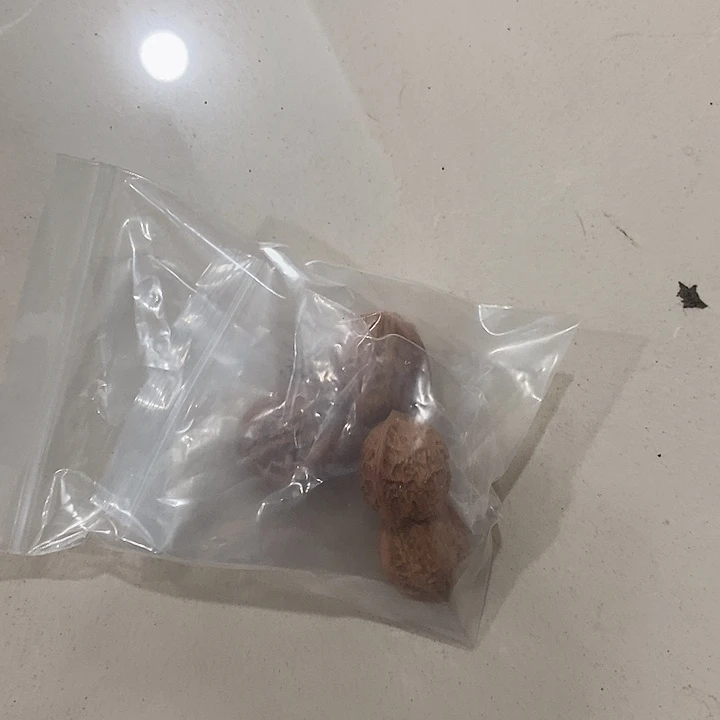 吊坠文玩核桃蜜桃瑕疵