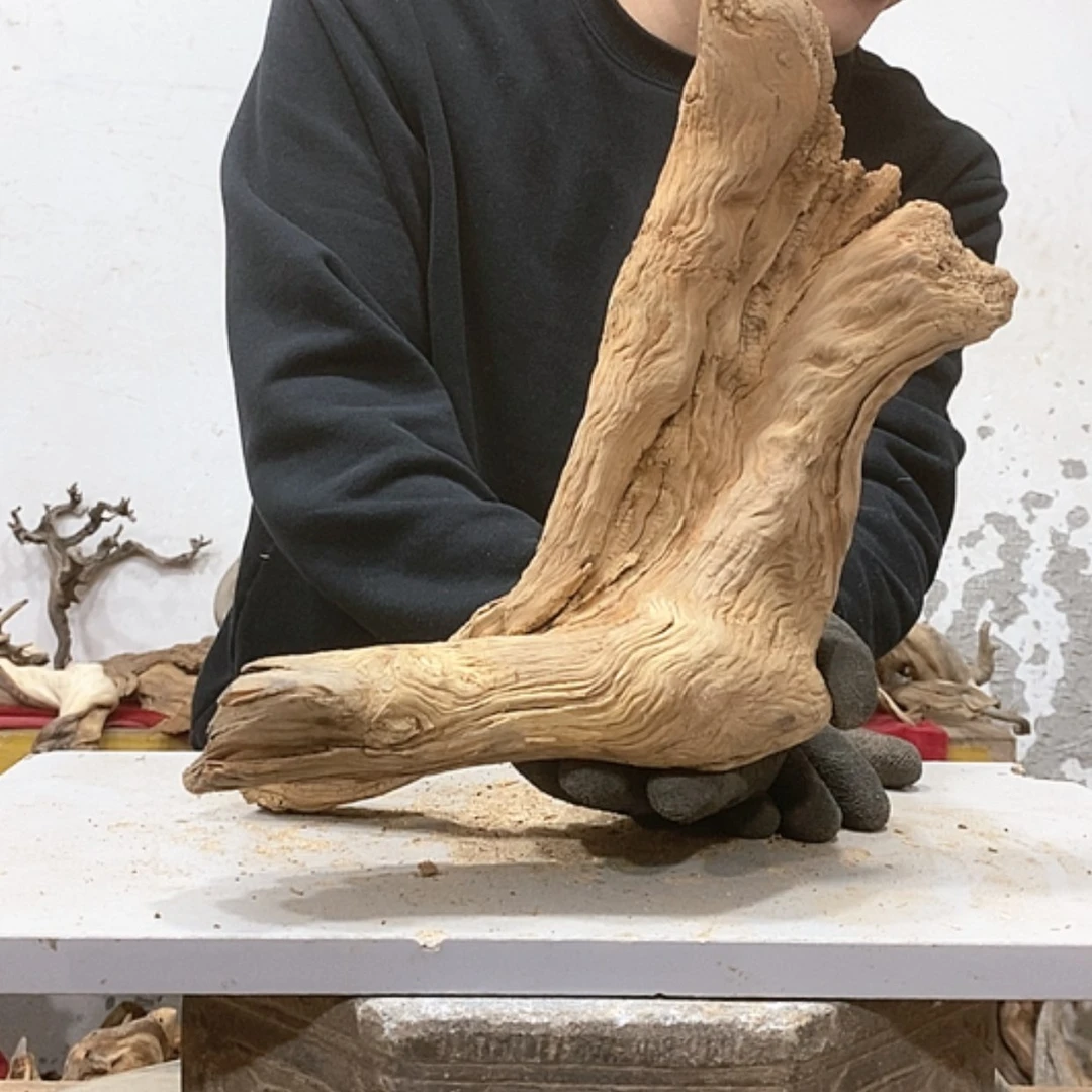 【闪购商品】柏木独***月我们都是好孩子