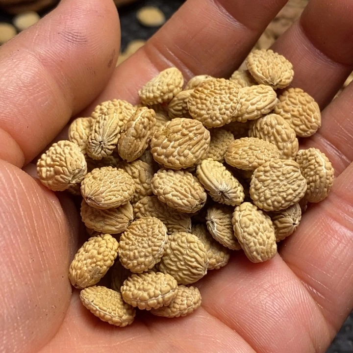 ****️吊坠文玩核桃娜姐304
