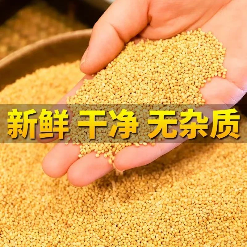 带壳黄谷子鸟粮鹦鹉粮带壳有皮当季新粮虎皮玄凤牡丹小太阳和尚