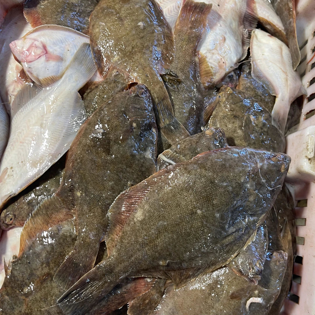 大连野生小嘴鱼4斤，刺少肉嫩干冰速冻发货顺丰包邮