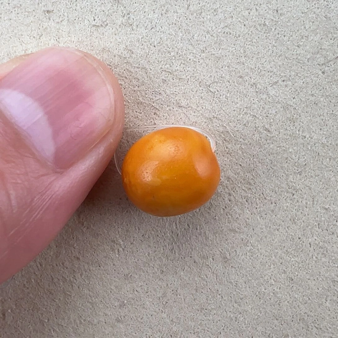 琥珀裸石未镶嵌古*熏定制老蜜蜡