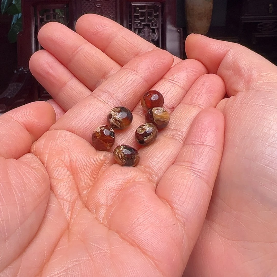 琥珀裸石未镶嵌孤*@抚顺琥珀9单珠