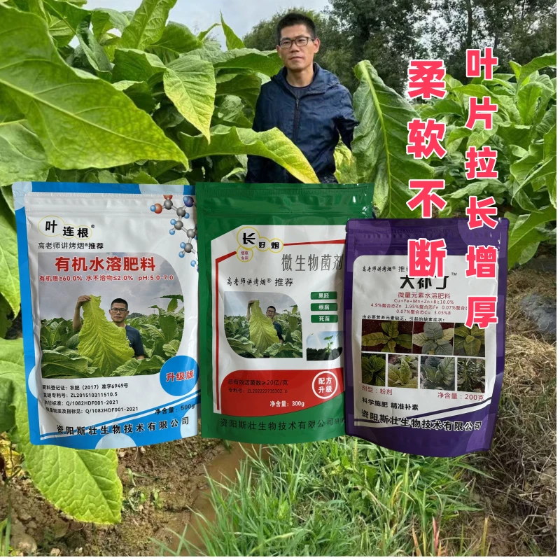 10套 叶连根组合 水溶肥 抗重茬 防病增产 叶连根➕长好烟➕大补丁