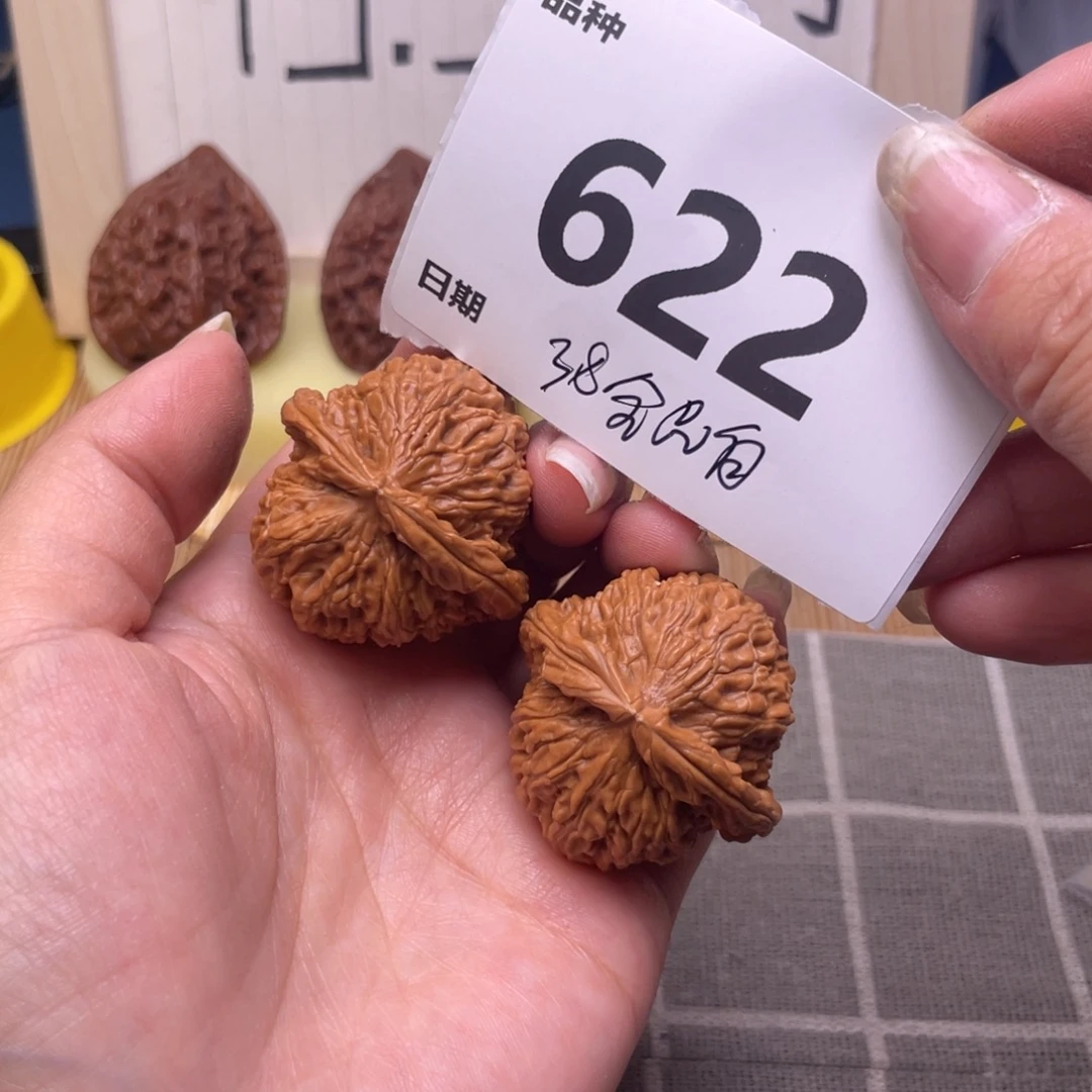 文玩核桃把件622号38全品白狮子