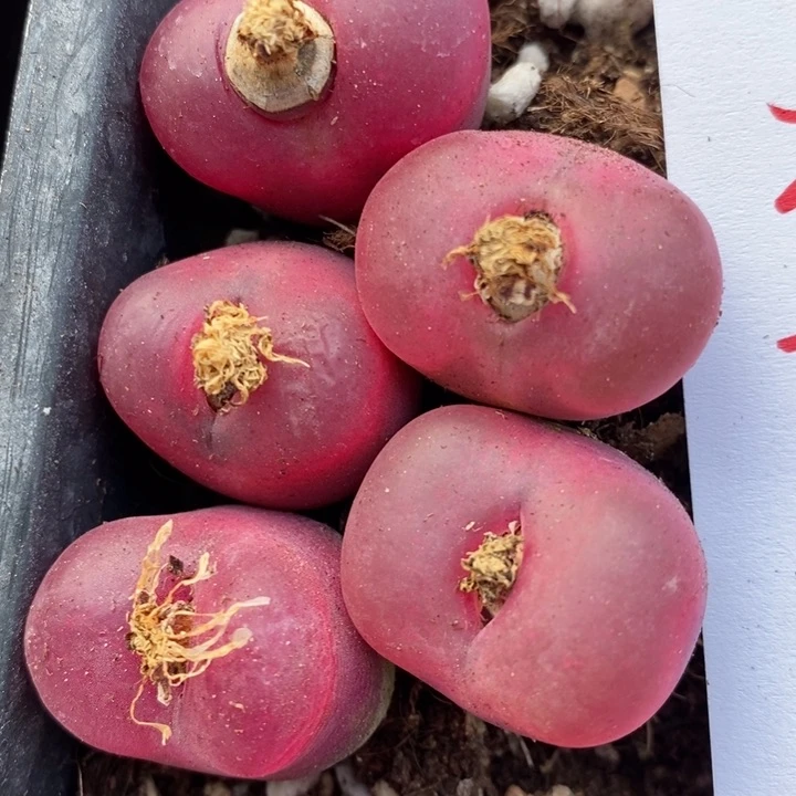 29203一组一组一组