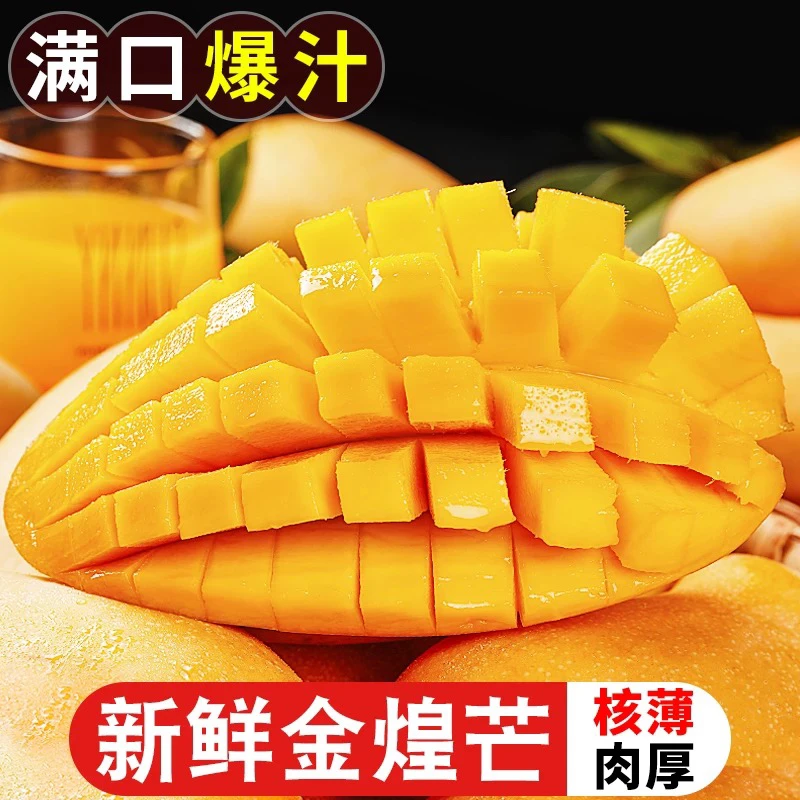 D【催熟食用】海南金煌芒净重4.5-5斤新鲜应季水果（多仓发货）