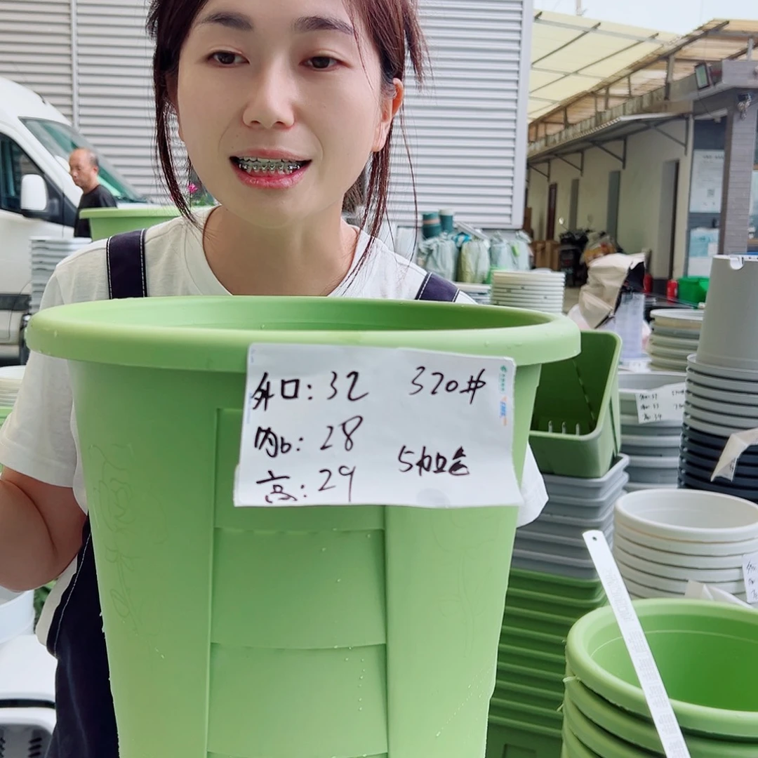 玫瑰盆320#果绿5个无托