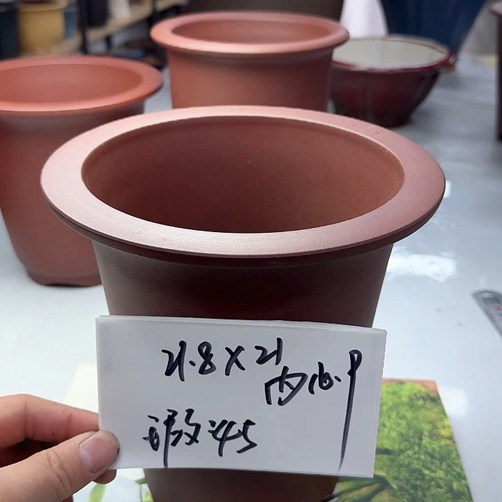 紫砂2222222222222222222