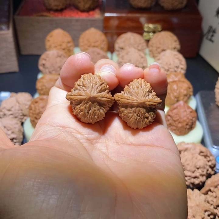 刘***湘文玩核桃吊坠野核