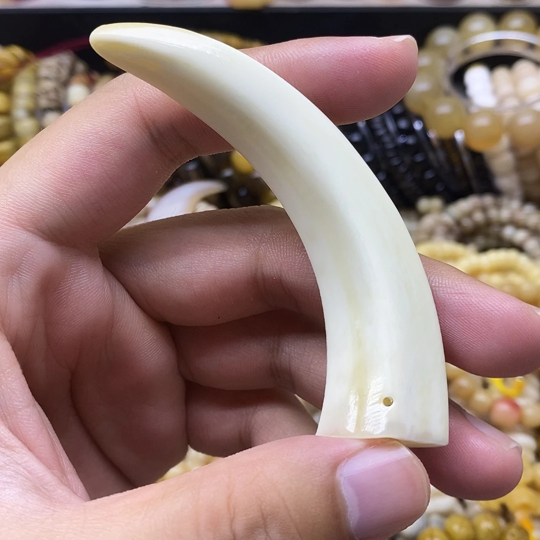 牛骨手串/手链精美人工养殖猪牙