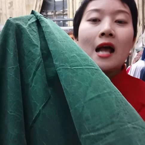 蚕丝2.2米龟文香云纱布料绿