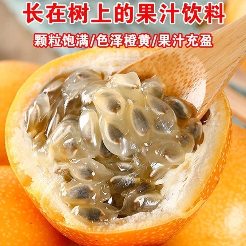 云南西双版纳黄金热情果现摘现发热情果新鲜清爽纯甜水果非百香果