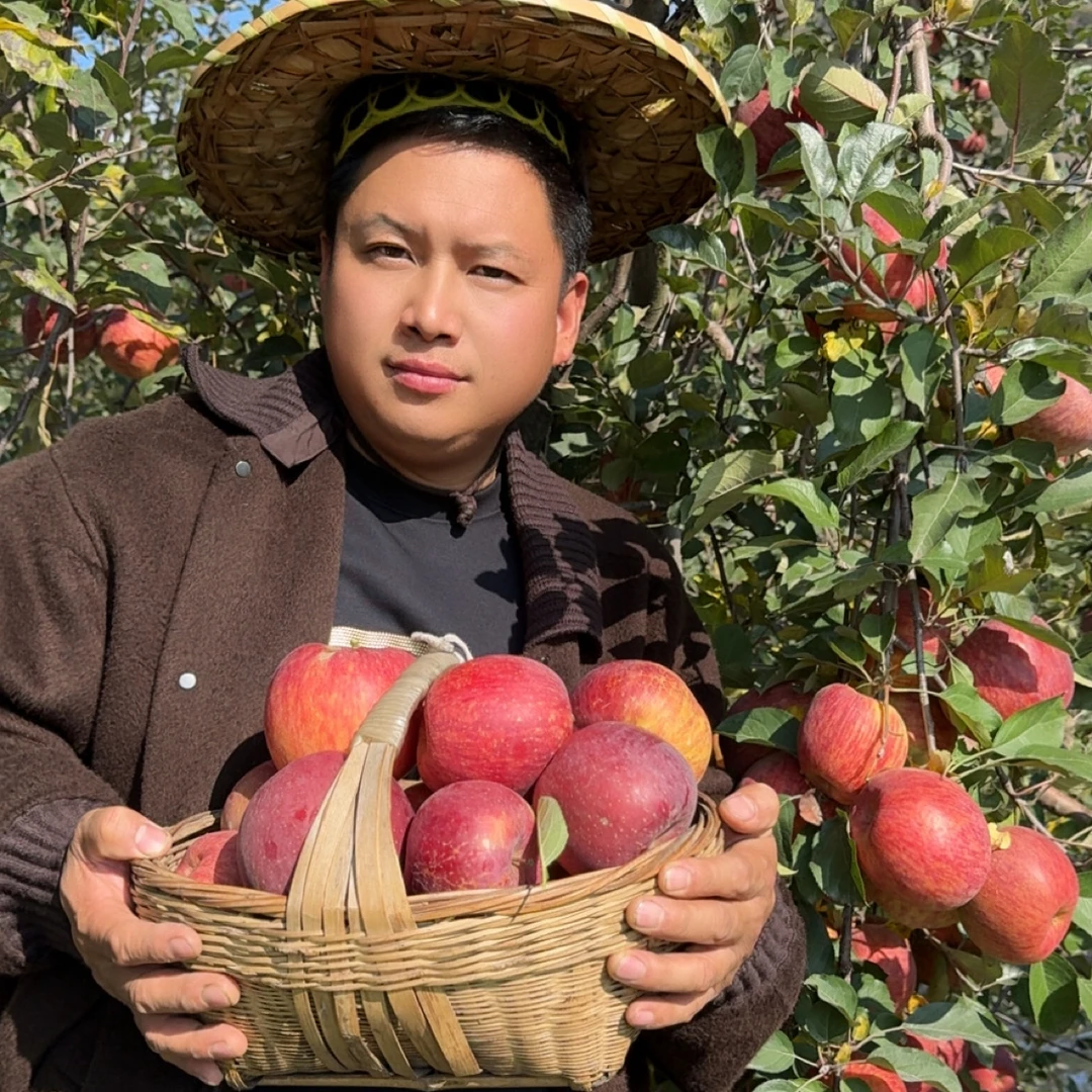 昭通乌蒙高原丑苹果中大果
