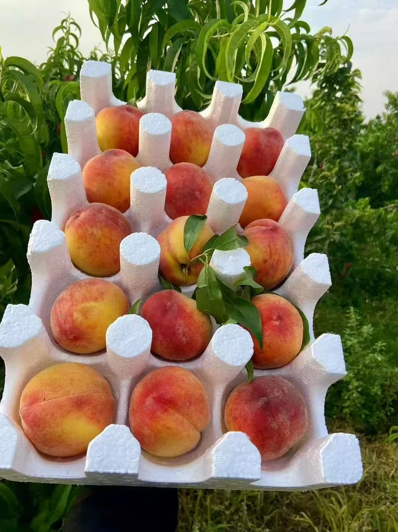 湖北枣阳彩虹黄桃（软硬两吃）