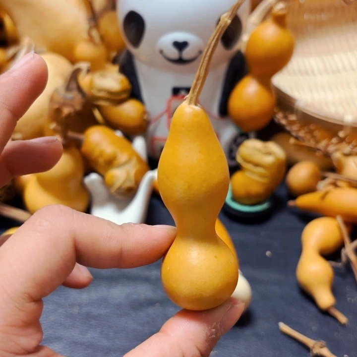 蛤**子88888888888888888