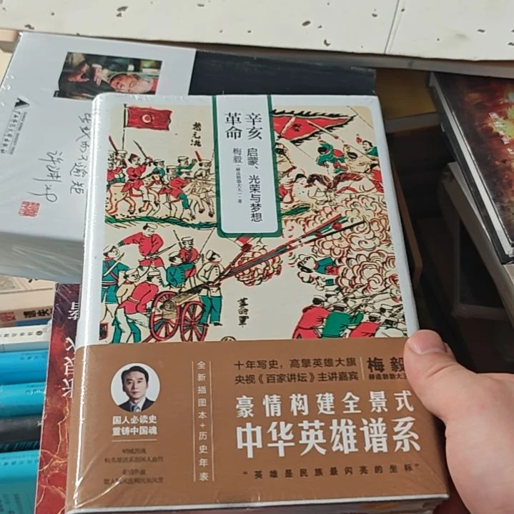 要赫连勃勃大王辛亥。精装天地出版社苏峰定价59。