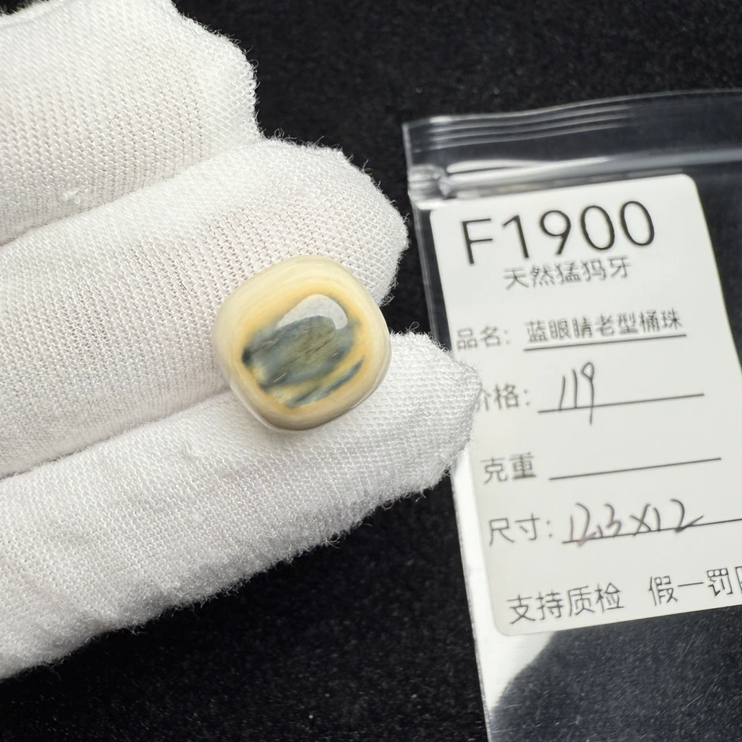 F1900天然猛犸象牙蓝皮老型桶珠墩子顶珠配珠配饰12.3*12mm