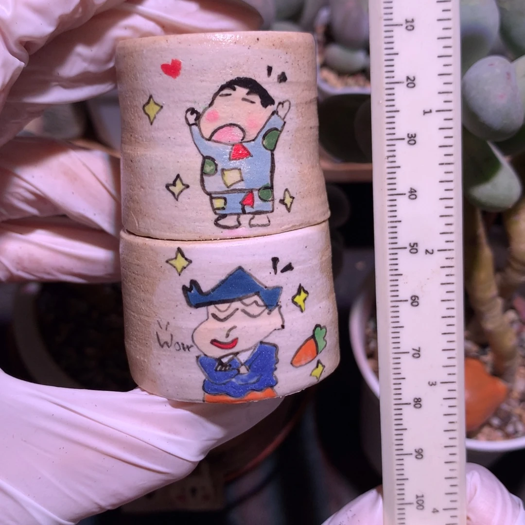 两个一起蜡笔小新花盆