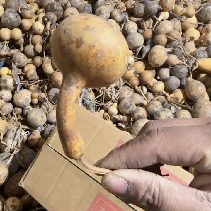 葫芦处理葫芦画皮葫芦