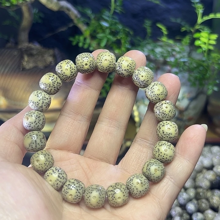 凉***儿星月菩提手串海南原生态