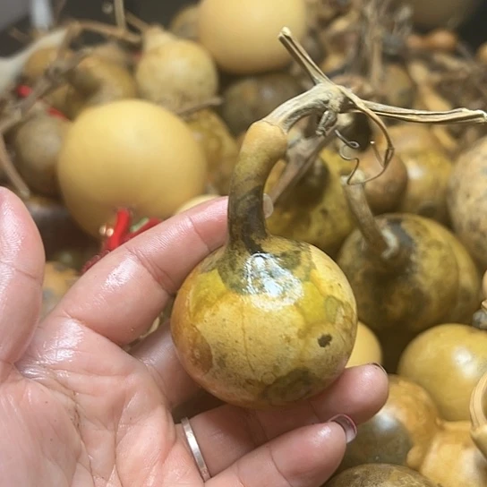 Z****?葫芦葫芦葫芦葫芦葫芦