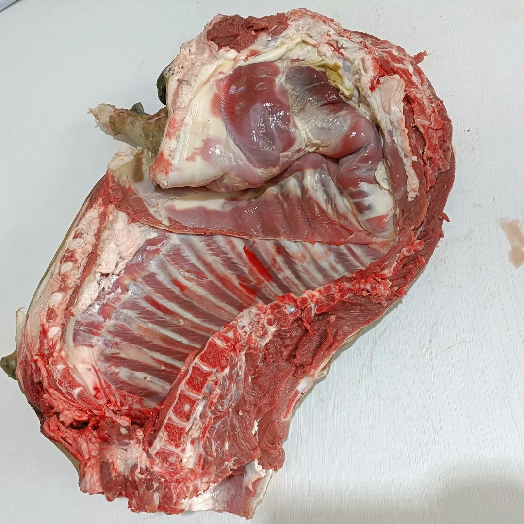 【直播间称重改价】广西河池黑山羊大山里自然放养带骨羊腿 4斤起拍