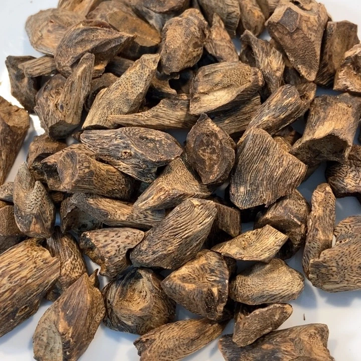 沉香沉香碎屑奇楠大树丁31克多样性发一