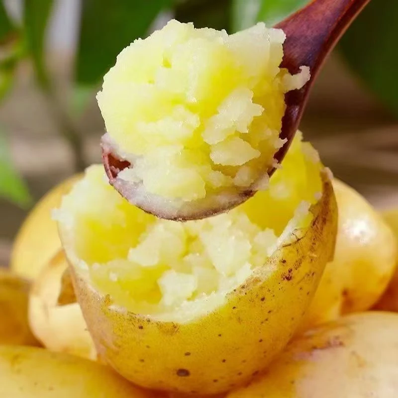 【带箱9-10斤】新土豆农家高山黄皮黄心特产士豆