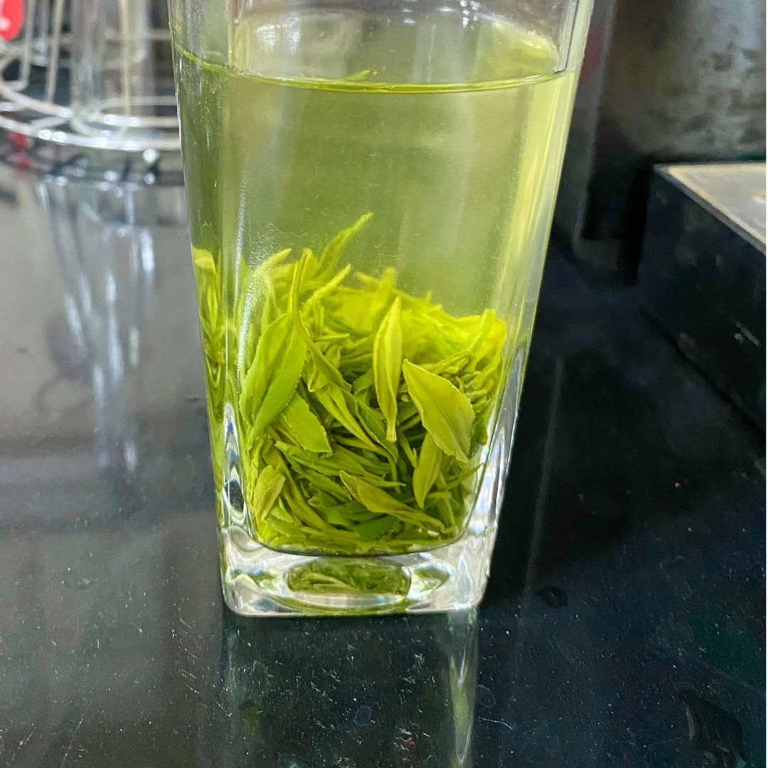 【明前茶宠粉】叶毛尖茶叶绿茶2025新茶浓香耐泡栗香口粮茶