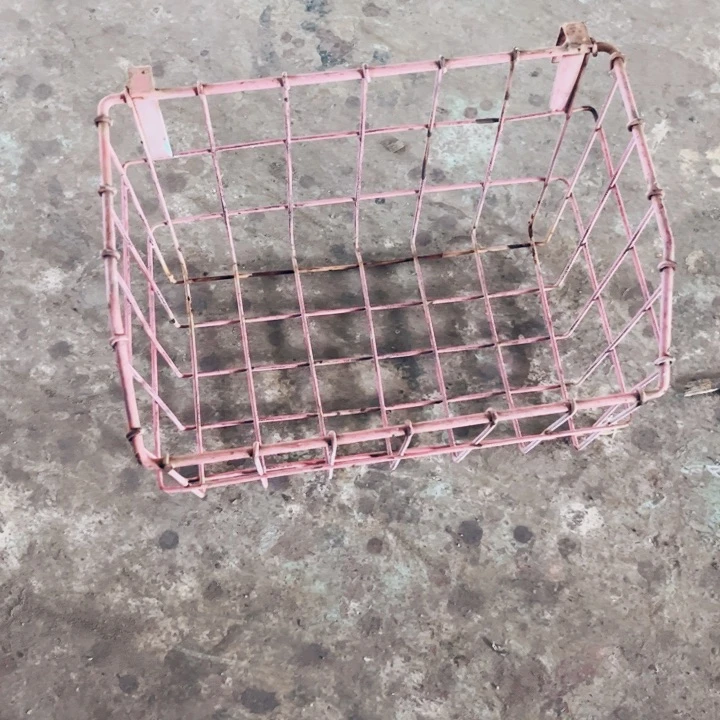 哈哈我也是很喜欢这个节目了