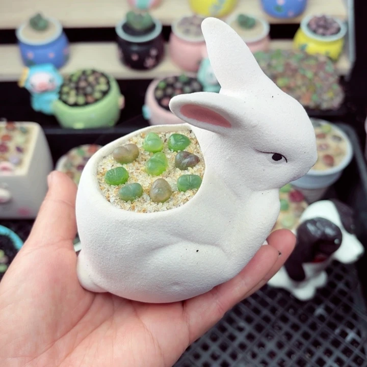 600零下地区记得拍保温箱