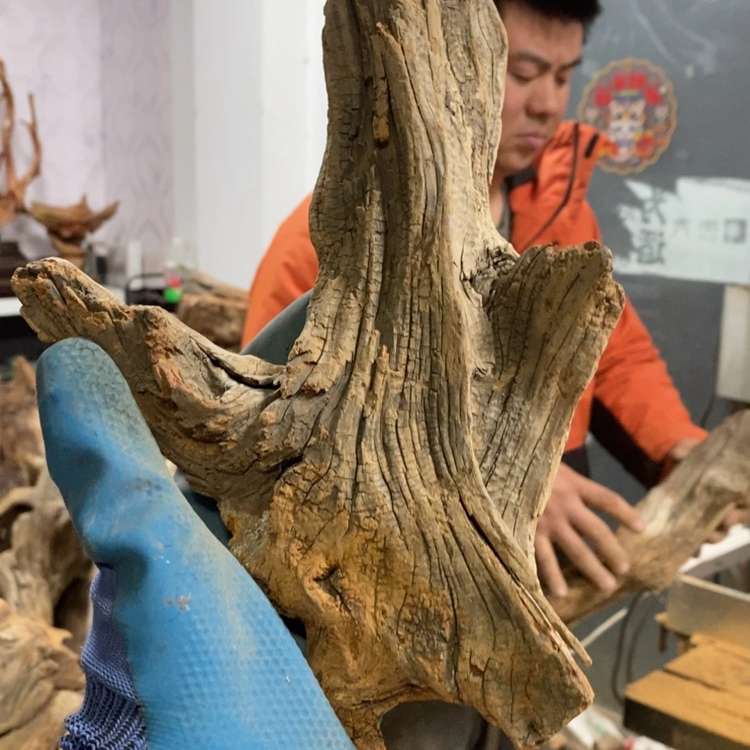 柏木墨**子我们都是好孩子