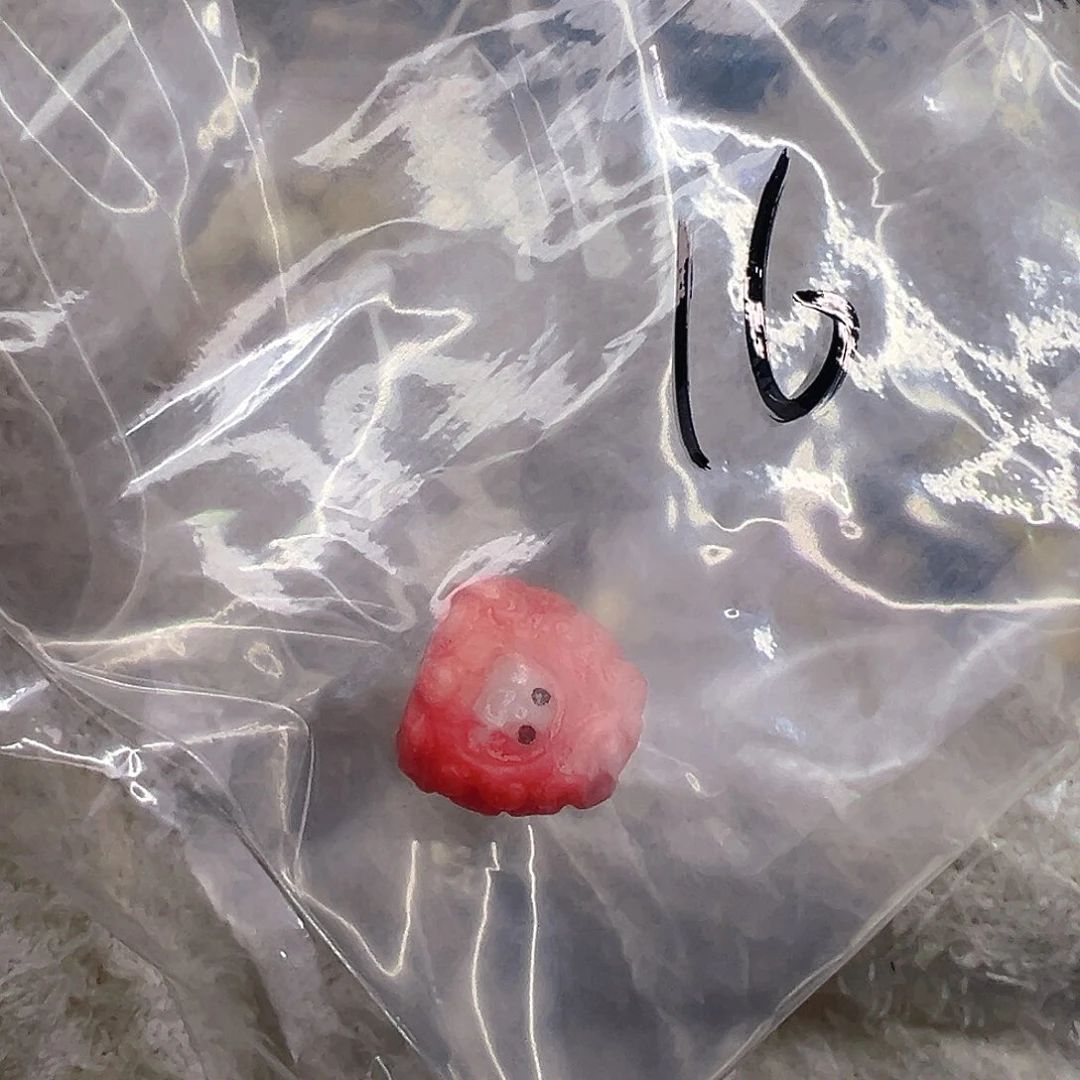 开***天驼骨其他18配饰一个