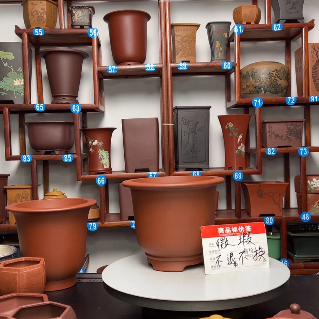 紫砂花盆美*金钟花盆