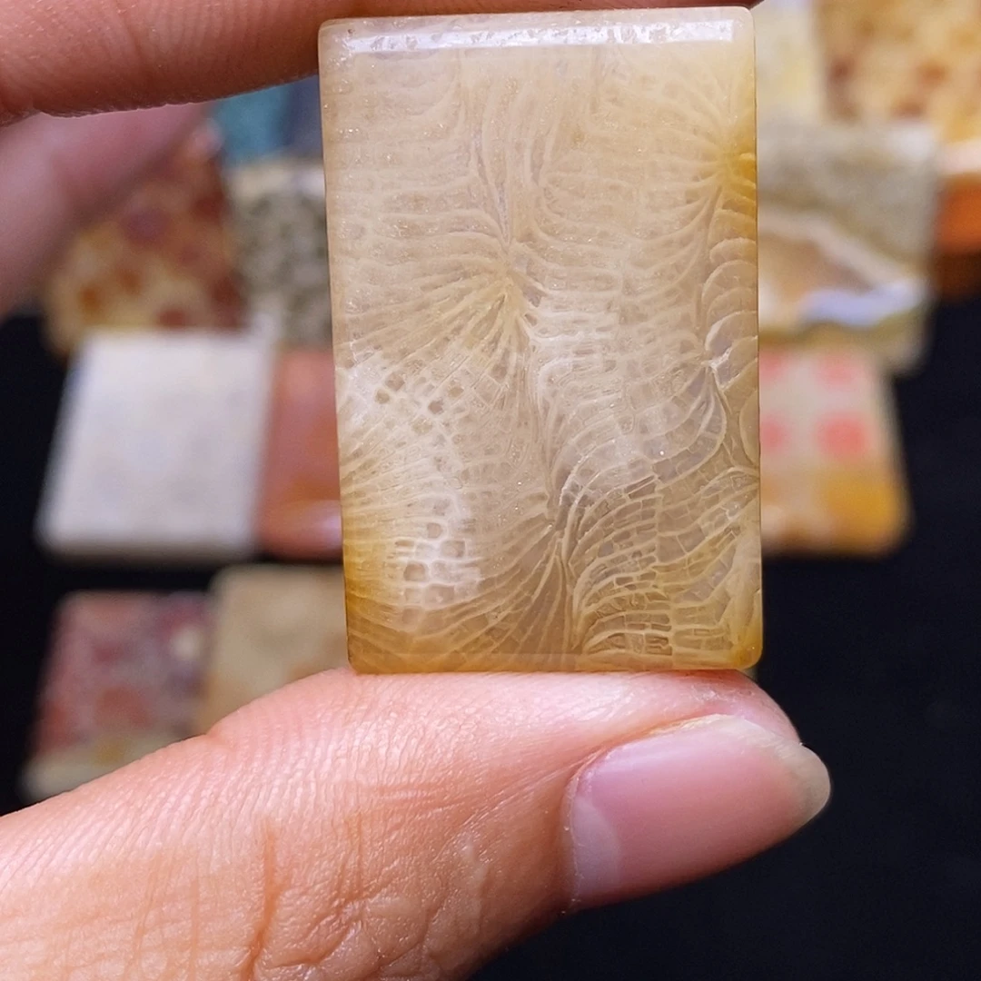 爱****硅化玉合金珊瑚玉