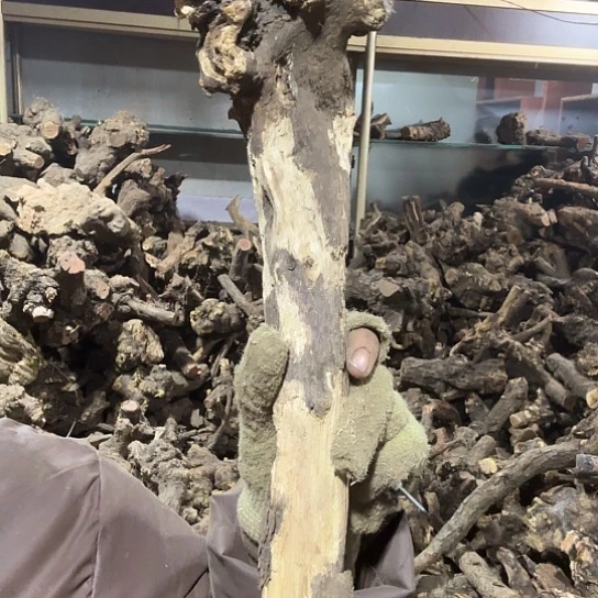 香榧木诱****s火琉璃的故事是毛料