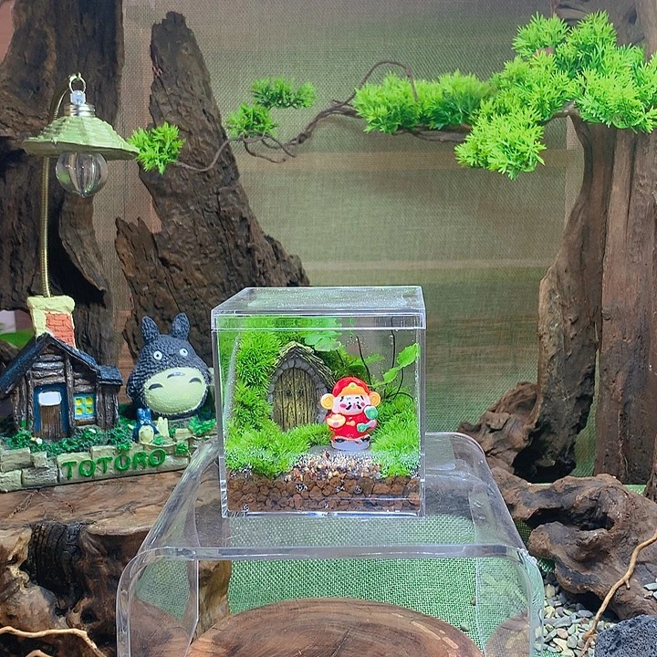 无花朵亚克力微景观