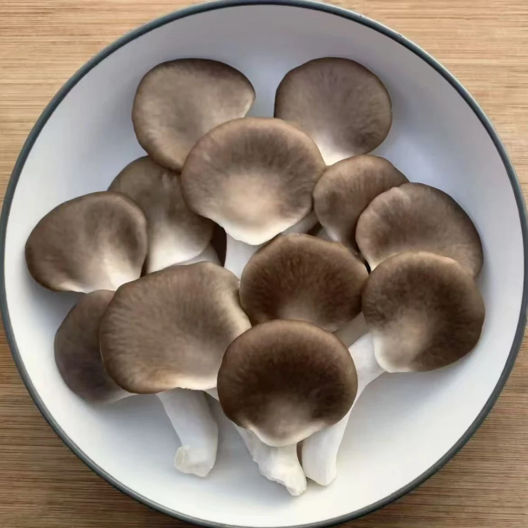 【次日达】新鲜现摘精品秀珍菇3斤装P