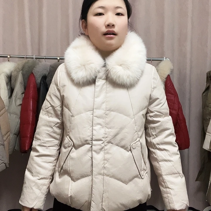时尚潮流女装系列